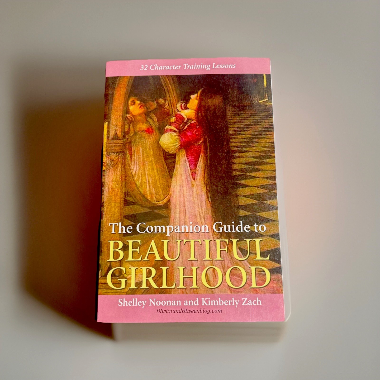 The Companion Guide to Beautiful Girlhood