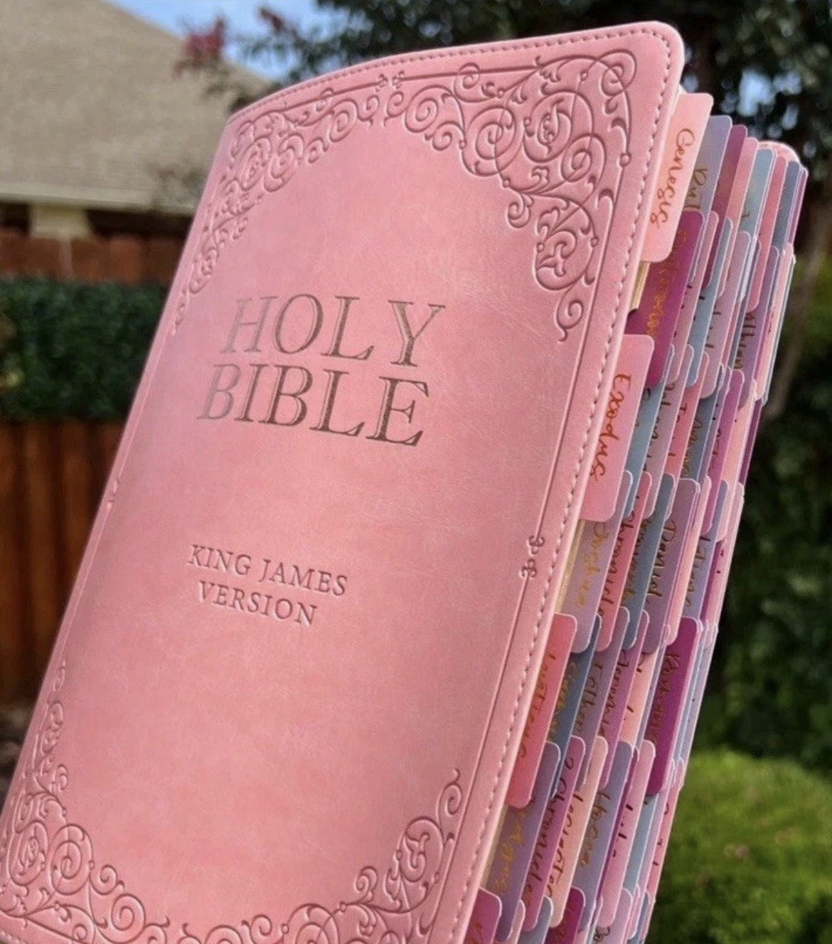 King James Version Holy Bible Leather Pink Tabbed English Religious Bible