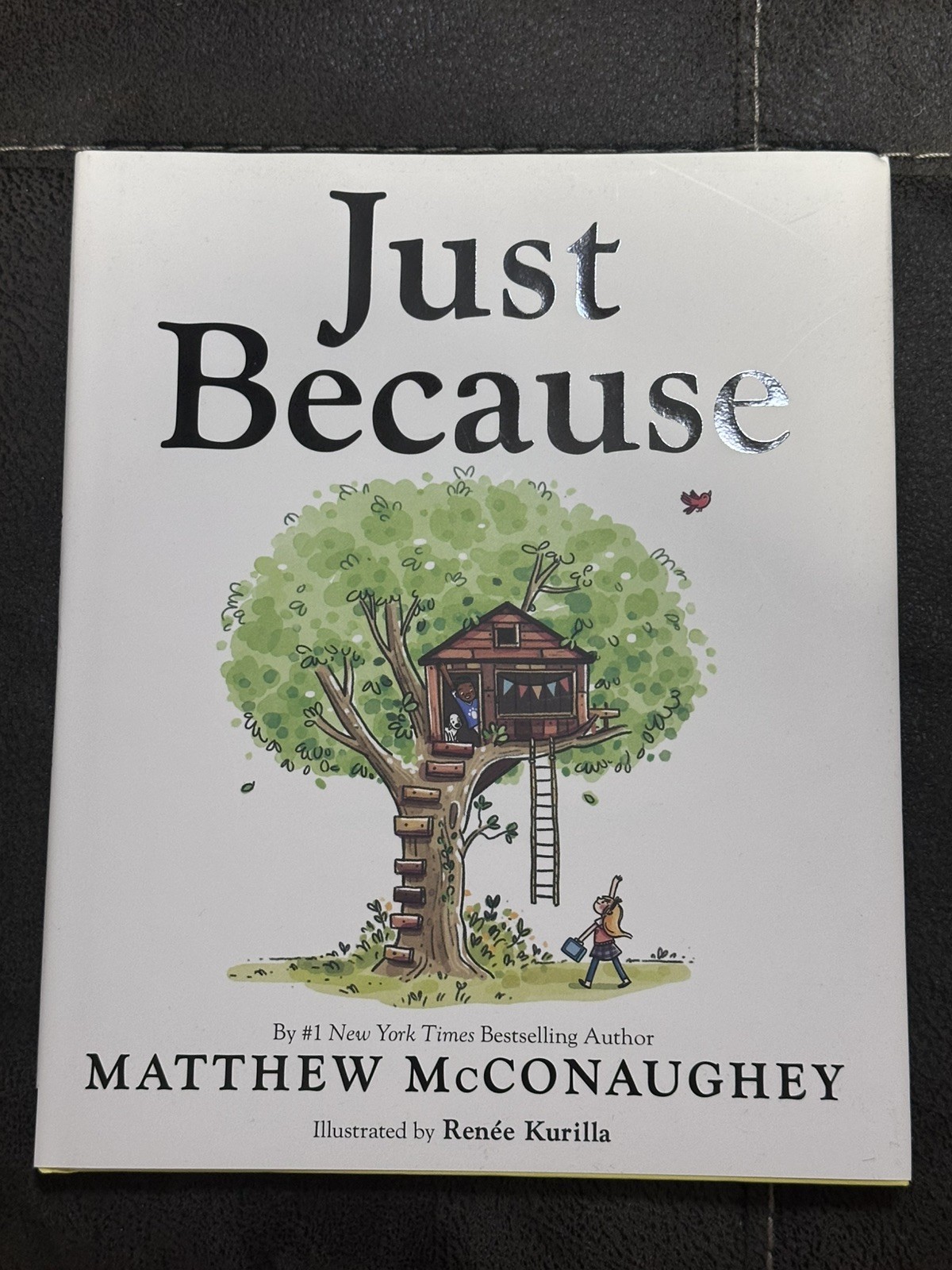 Just Because SIGNED by MATHEW McCONAUGHEY Hardcover