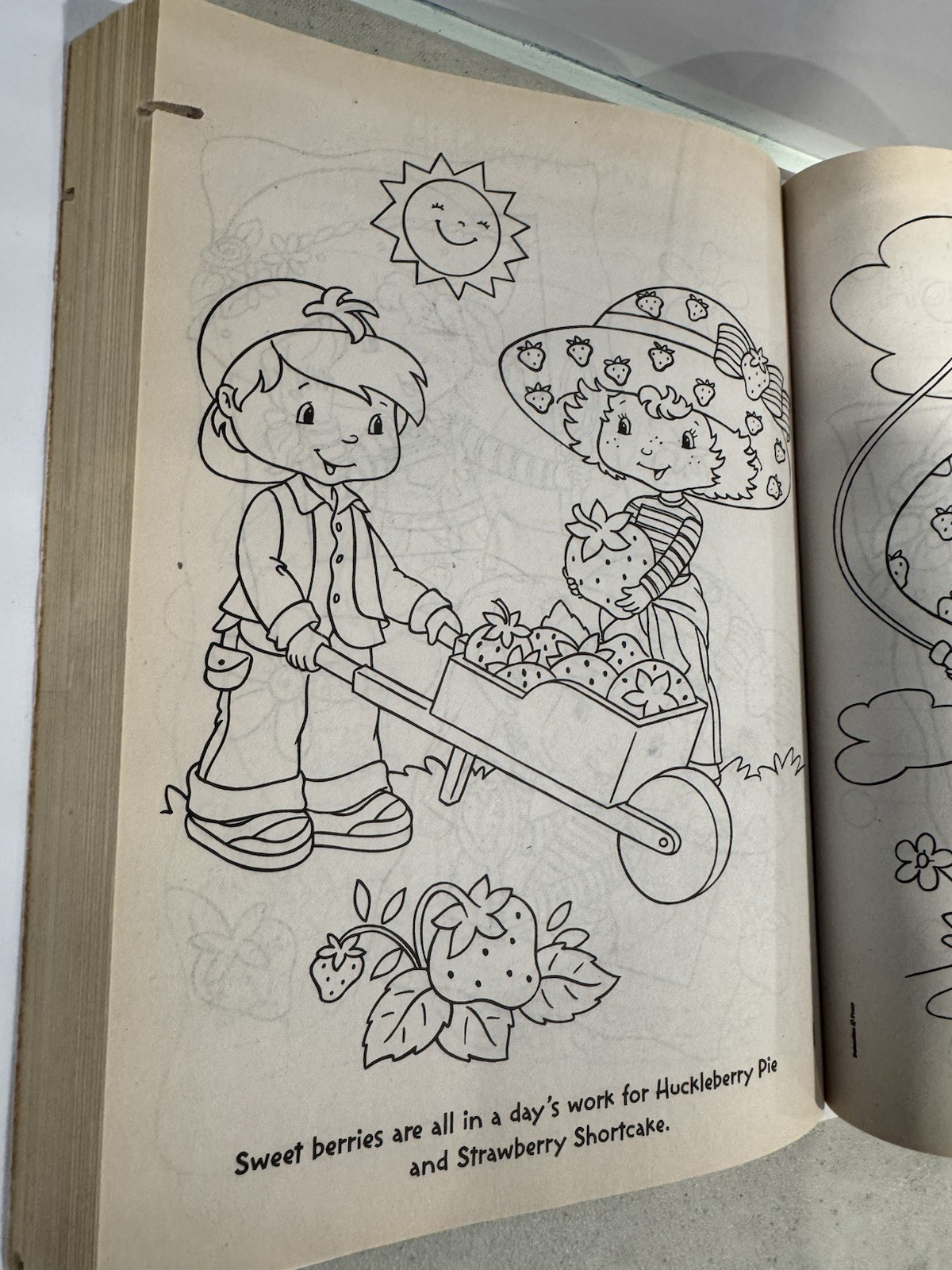 2003 Strawberry Shortcake Berry Best Friends 400 Pages of Coloring Fun *READ*