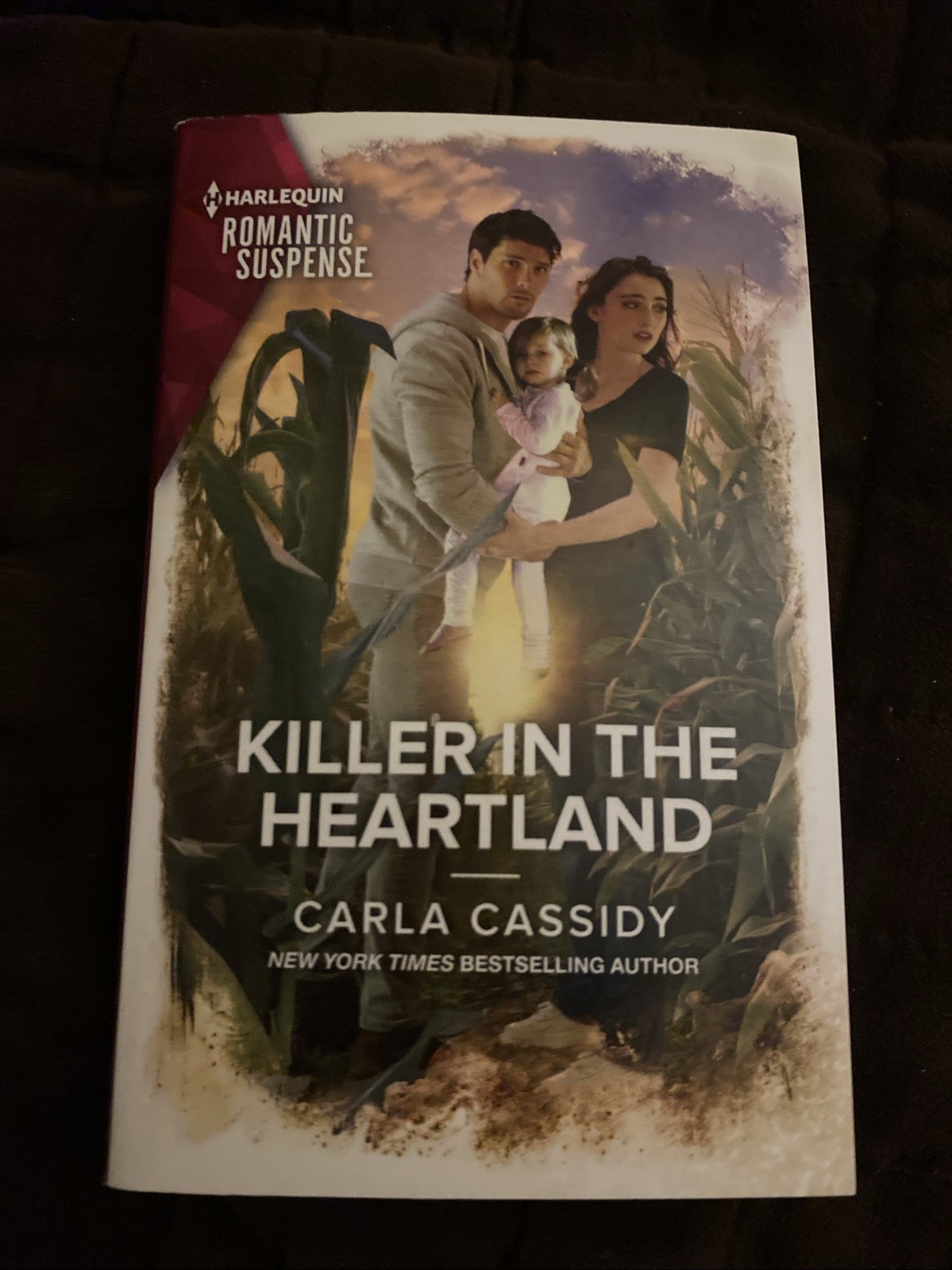 Killer in the Heartland by Carla Cassidy 280 Pages Romantic Suspense