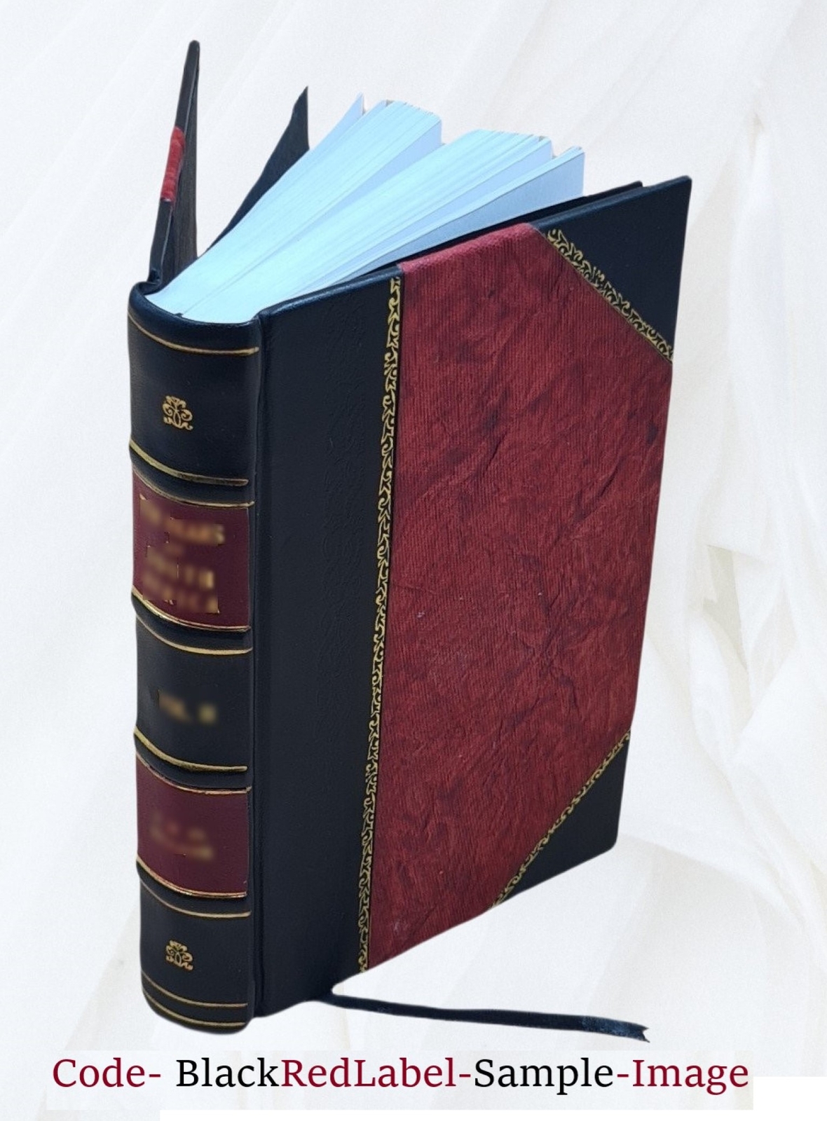Ardha-Magadhi Reader 1923 By Banarsi Das Jain [Leather Bound]