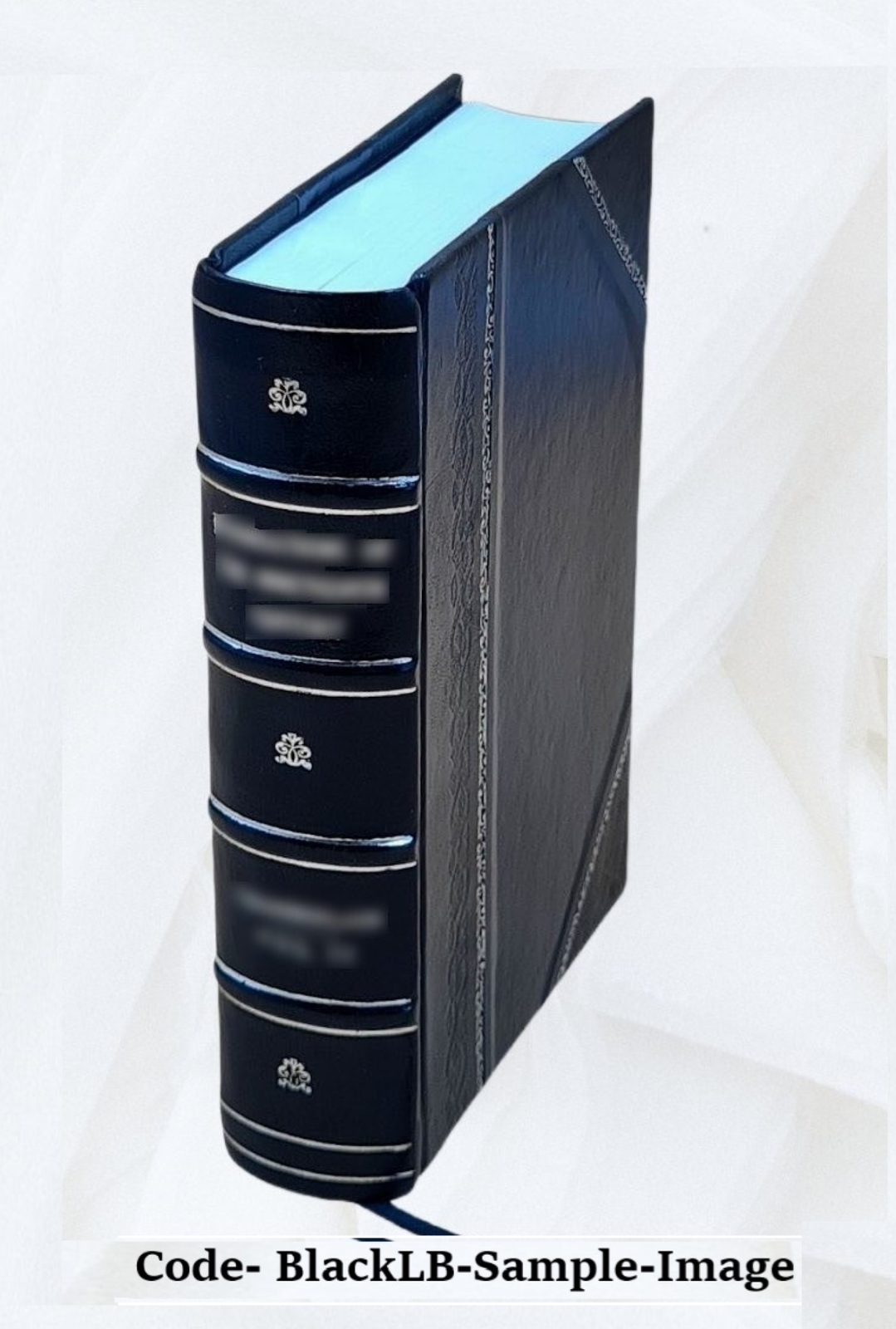 De Revolutionibus Orbium Coelestium 1473 [Leather Bound]
